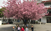 以梦为马，不负韶华 ——藏书实小2020毕业季