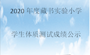 2020年度藏书实验小学学生体质测试成绩公示