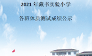 2021年藏书实验小学各班体质测试成绩公示