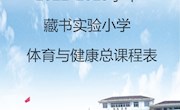 2022-2023学年藏书实验小学体育与健康总课程表